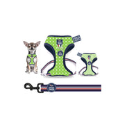 Reversible Harness Set 10