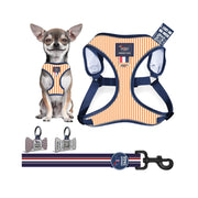 Harness Set 11