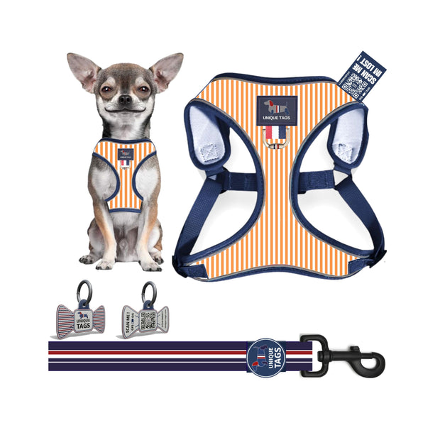 Harness Set 11