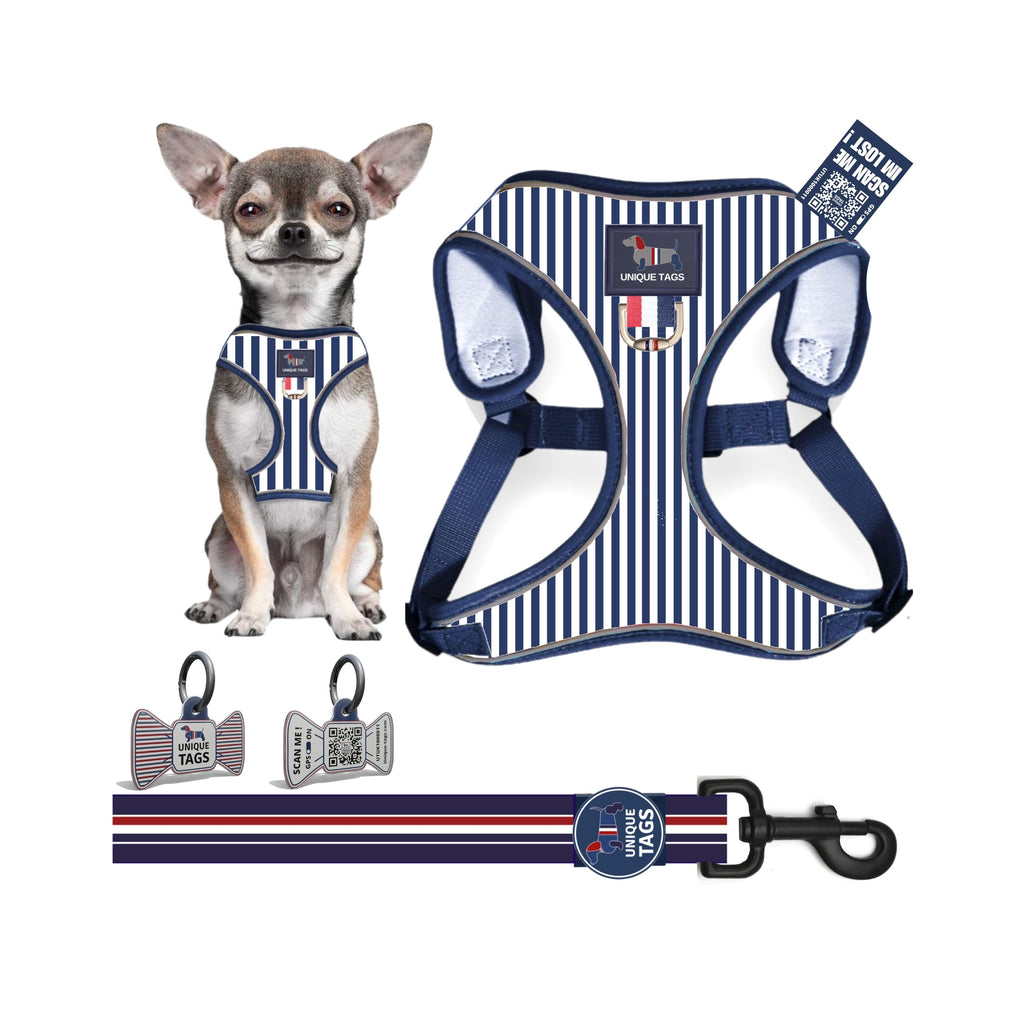 Harness Set 12