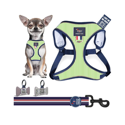 Harness Set 13