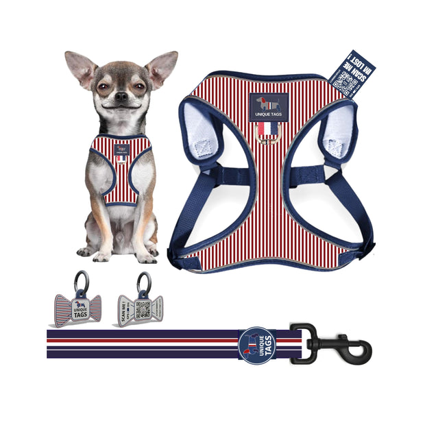 Harness Set 14