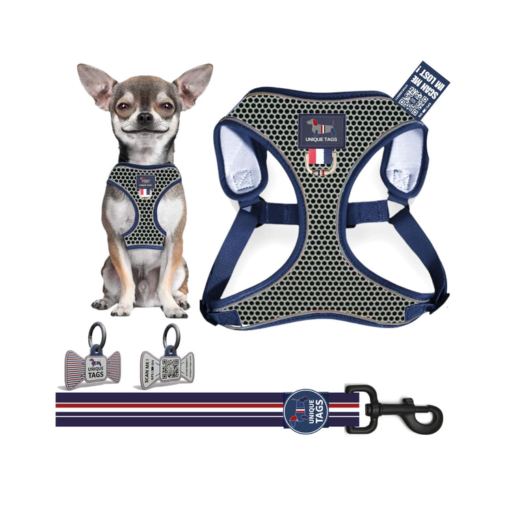 Harness Set-1