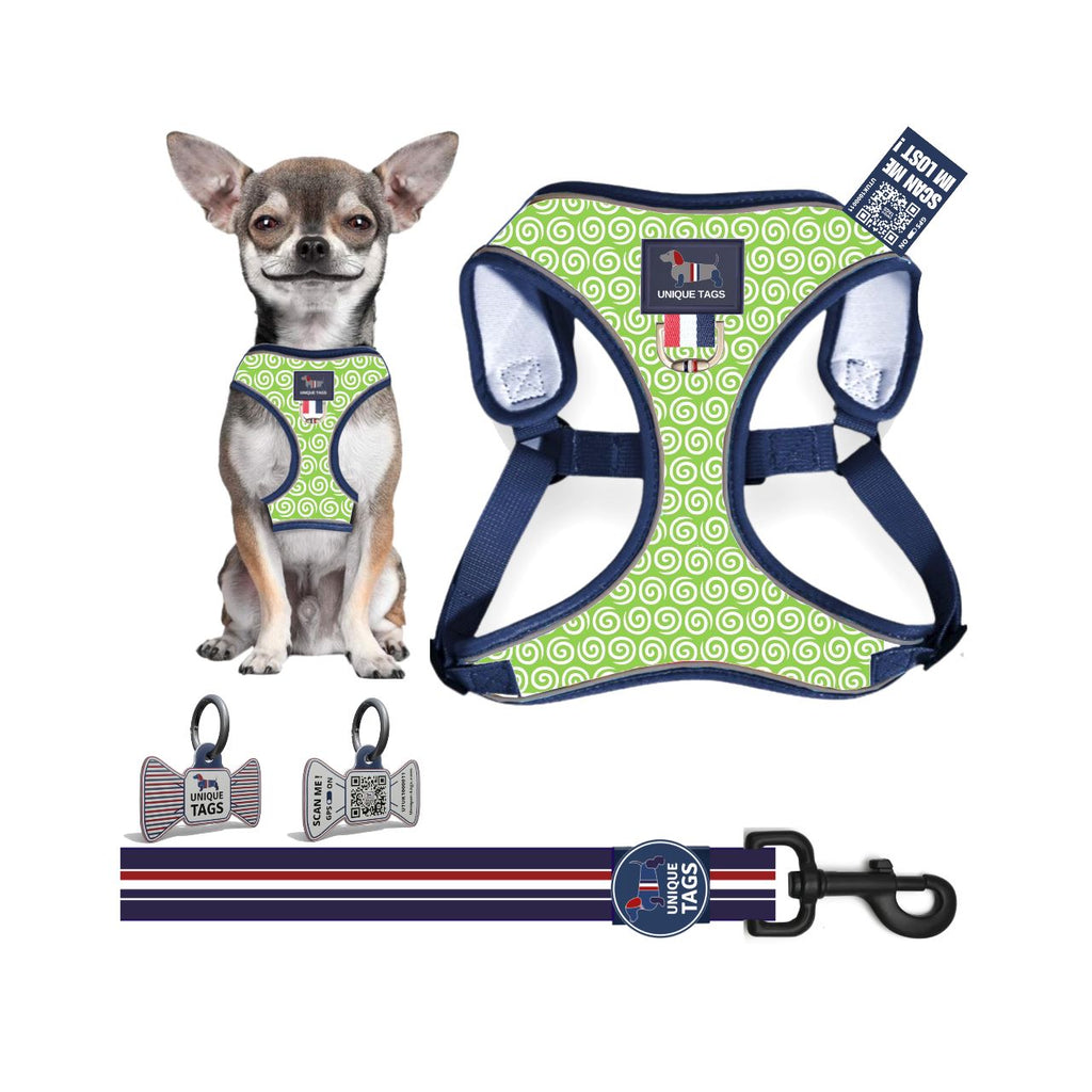 Harness Set 21