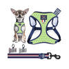 Harness Set 21