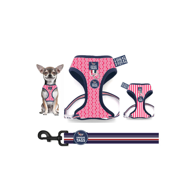 Reversible Harness Set 21