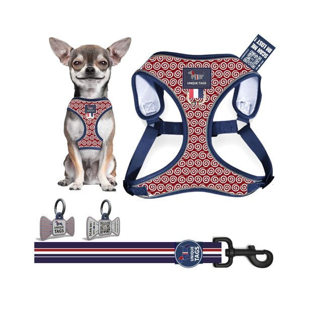 Harness Set 22