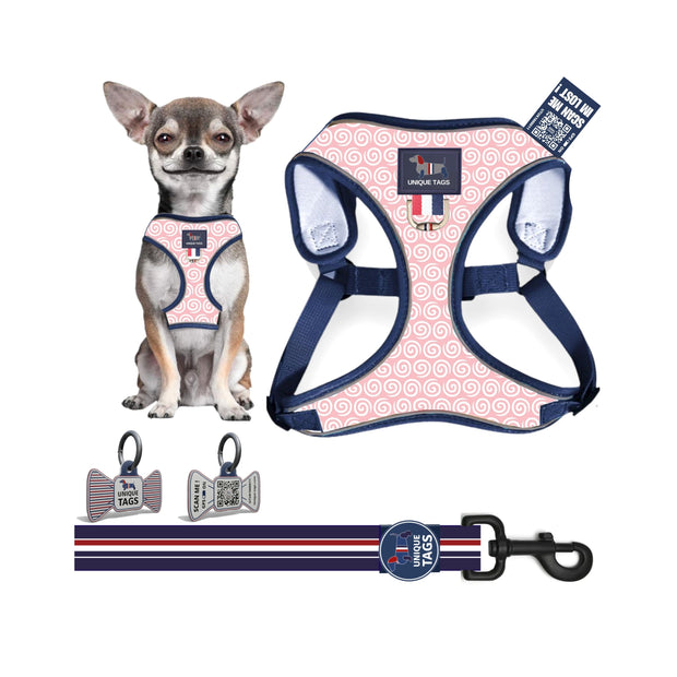 Harness Set 23