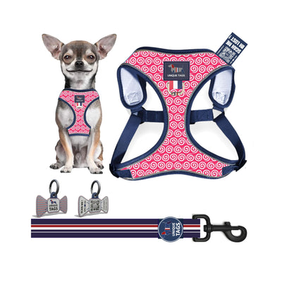 Harness Set 24