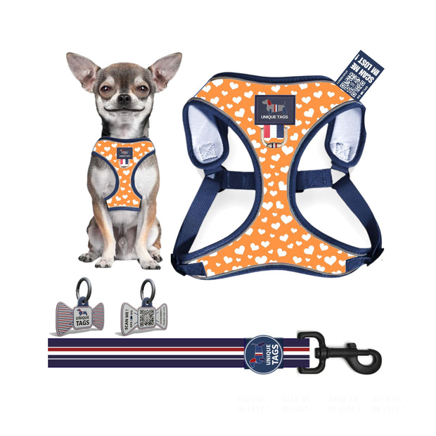 Harness Set 27