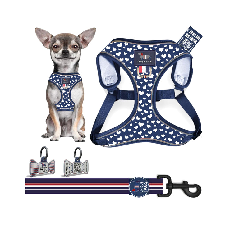 Harness Set 28