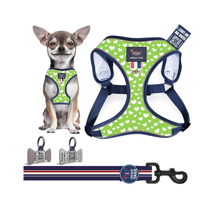 Harness Set 29