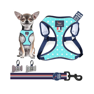 Harness Set-2