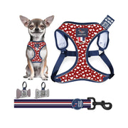 Harness Set 30