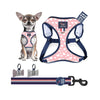 Harness Set 31