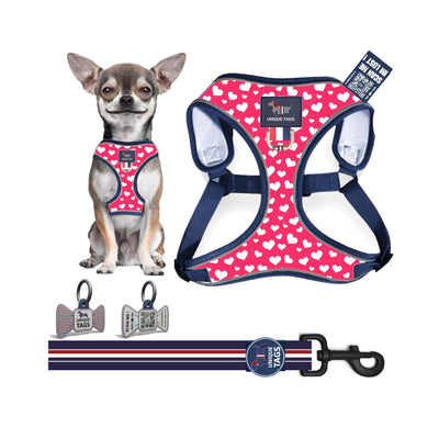 Harness Set 32