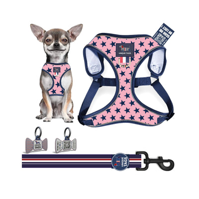 Harness Set 33