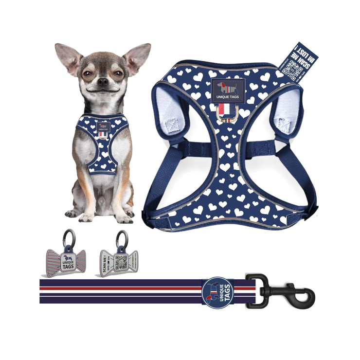 Harness Set 34