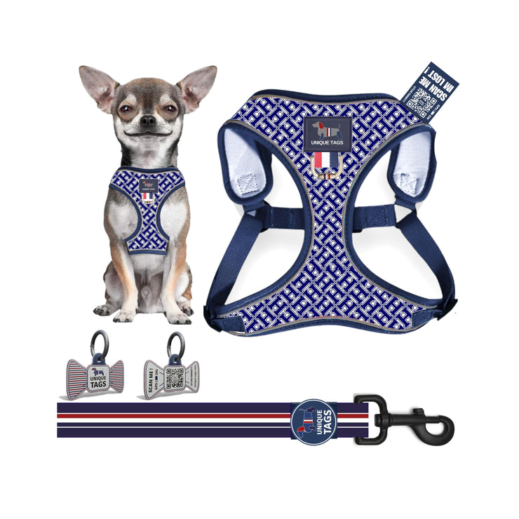 Harness Set 35