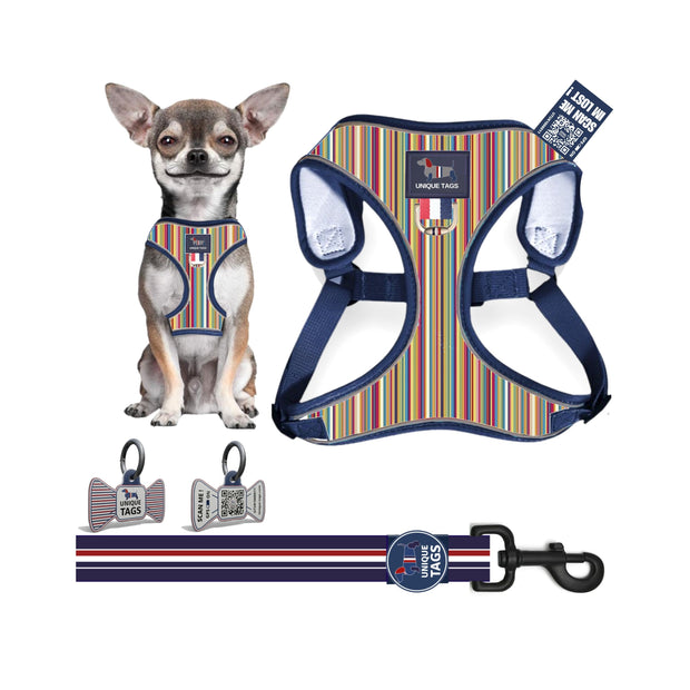 Harness Set 38