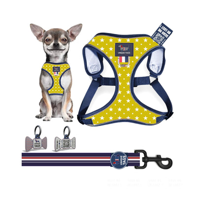 Harness Set-3