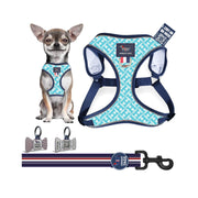 Harness Set 41