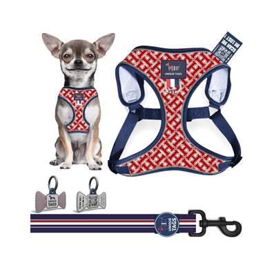 Harness Set 42