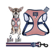 Harness Set 43