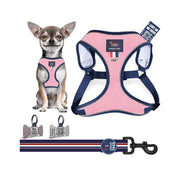 Harness Set 44