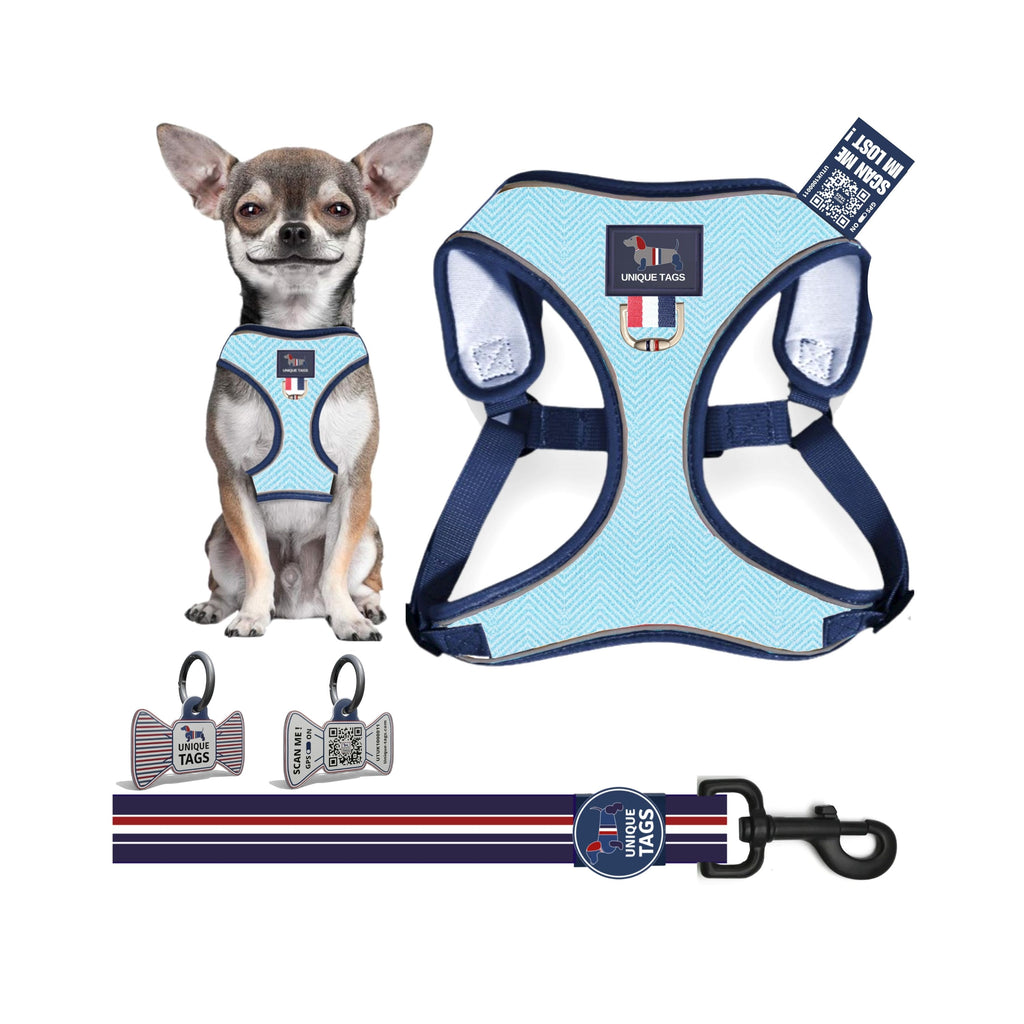 Harness Set 46