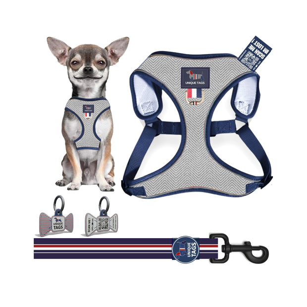 Harness Set 48