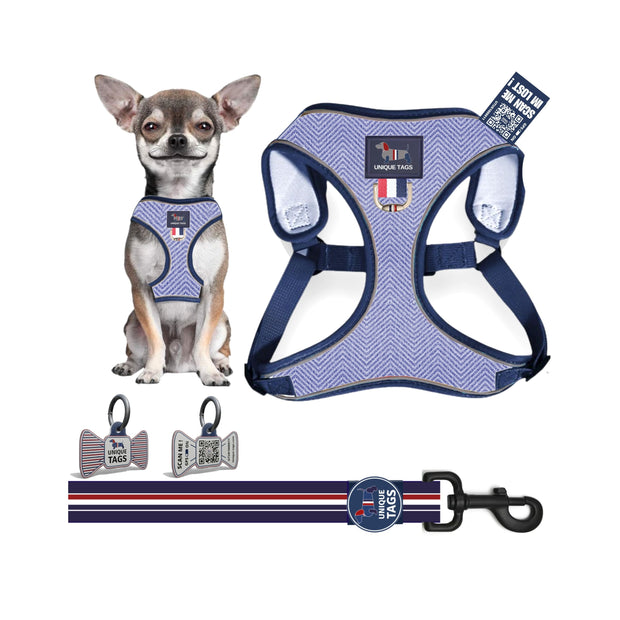 Harness Set 49