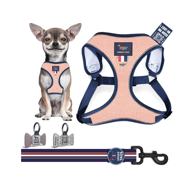 Harness Set 50