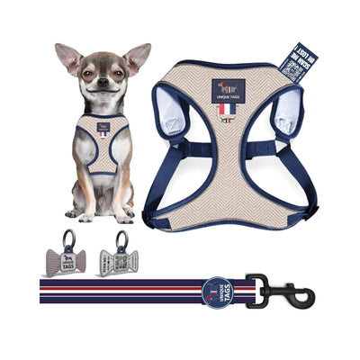 Harness Set 51