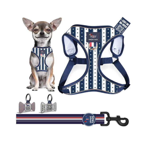 Harness Set 54