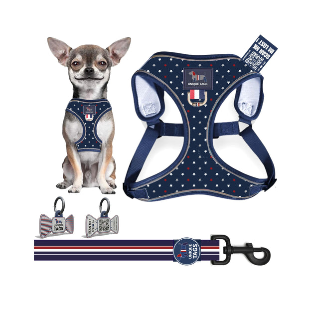 Harness Set 55