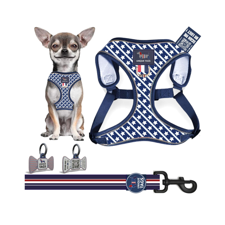 Harness Set 57