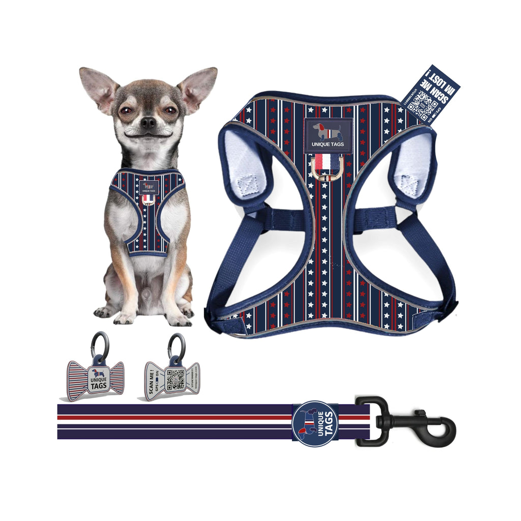 Harness Set 58