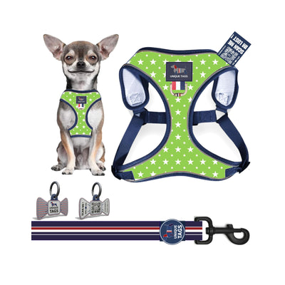 Harness Set 5