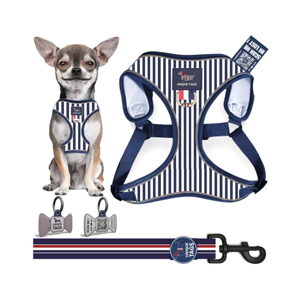 Harness Set 61