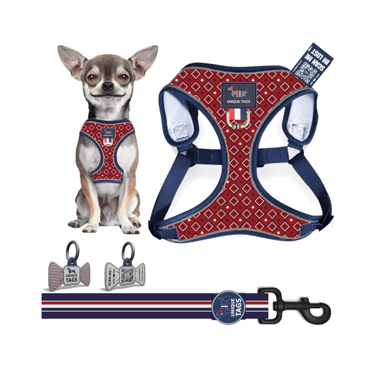 Harness Set 62