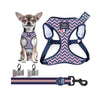 Harness Set 67