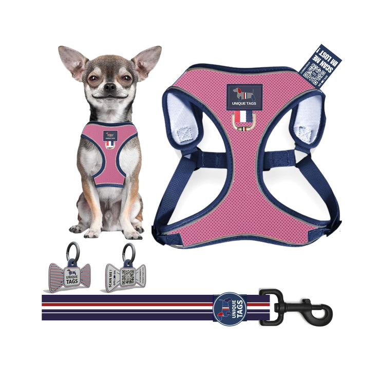 Harness Set 68