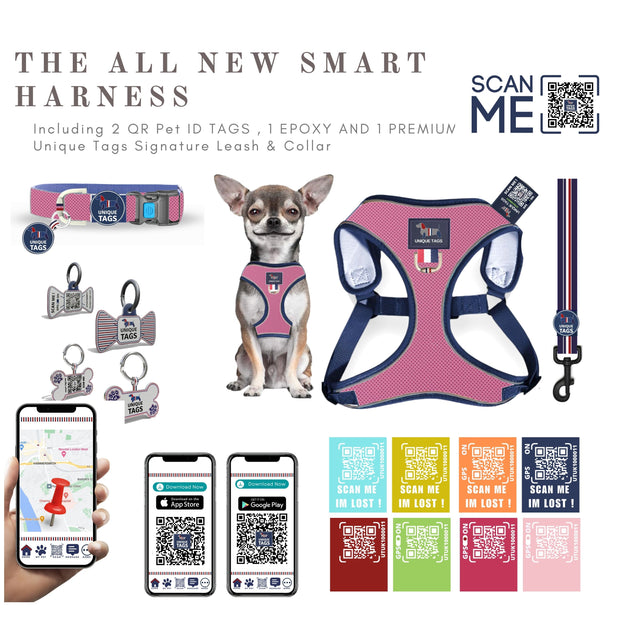 Harness Set 68