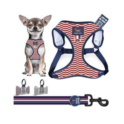 Harness Set 69