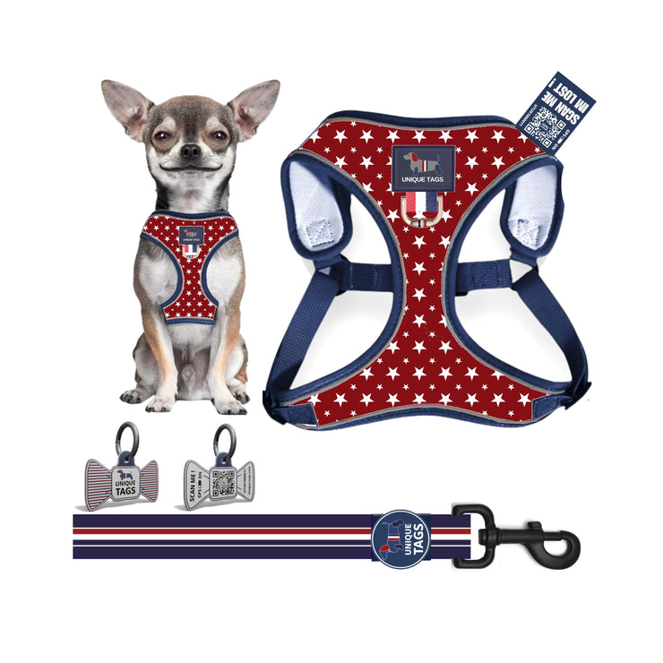 Harness Set 6