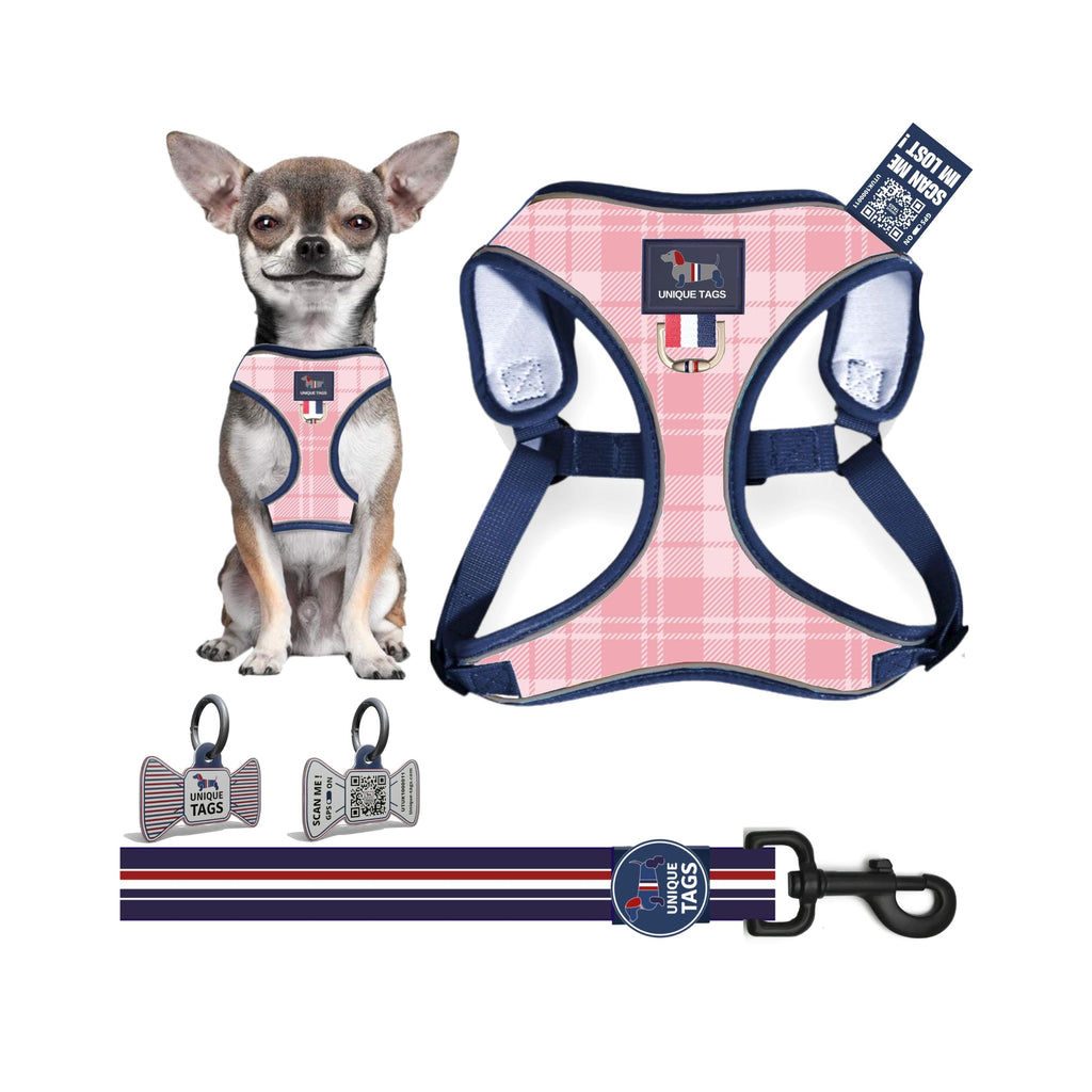 Harness Set 72