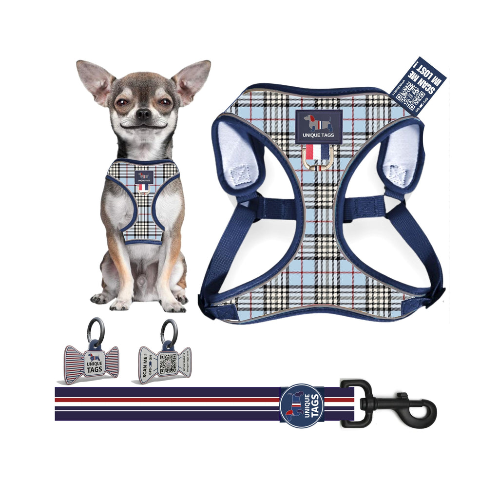 Harness Set 73