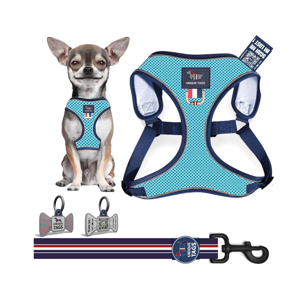 Harness Set 75