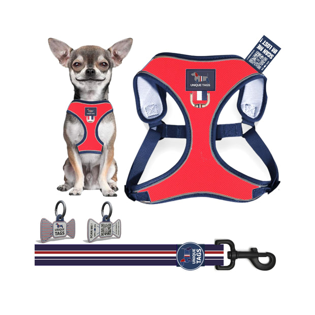 Harness Set 77